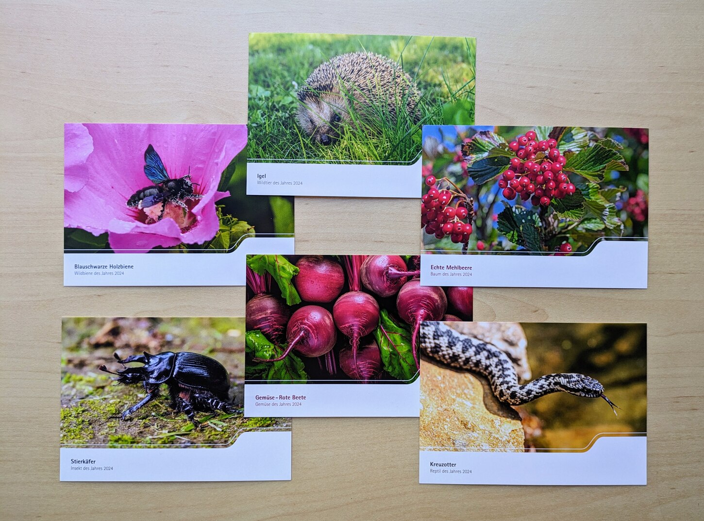 Postkarten mit Motiven ausgewählter Arten der »Natur des Jahres 2024«